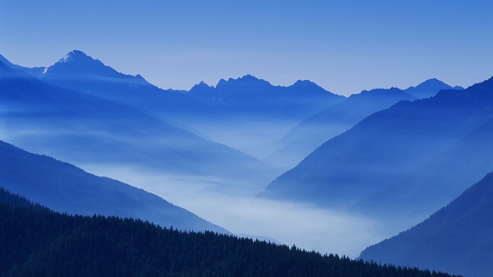 世界举重联赛：训练数据化提升成绩可复制性，世界举重队
